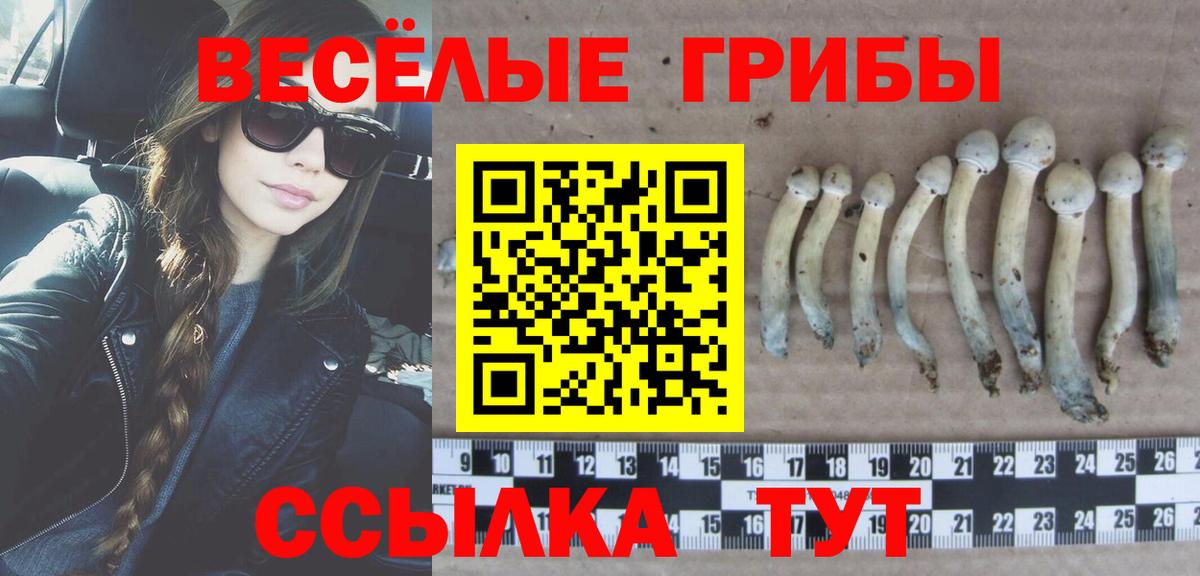 Псилоцибиновые грибы Cubensis  Псилоцибиновые грибы мицелий  Зеленодольск  Вход с VPN 
